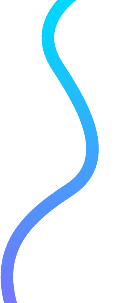 Shape
